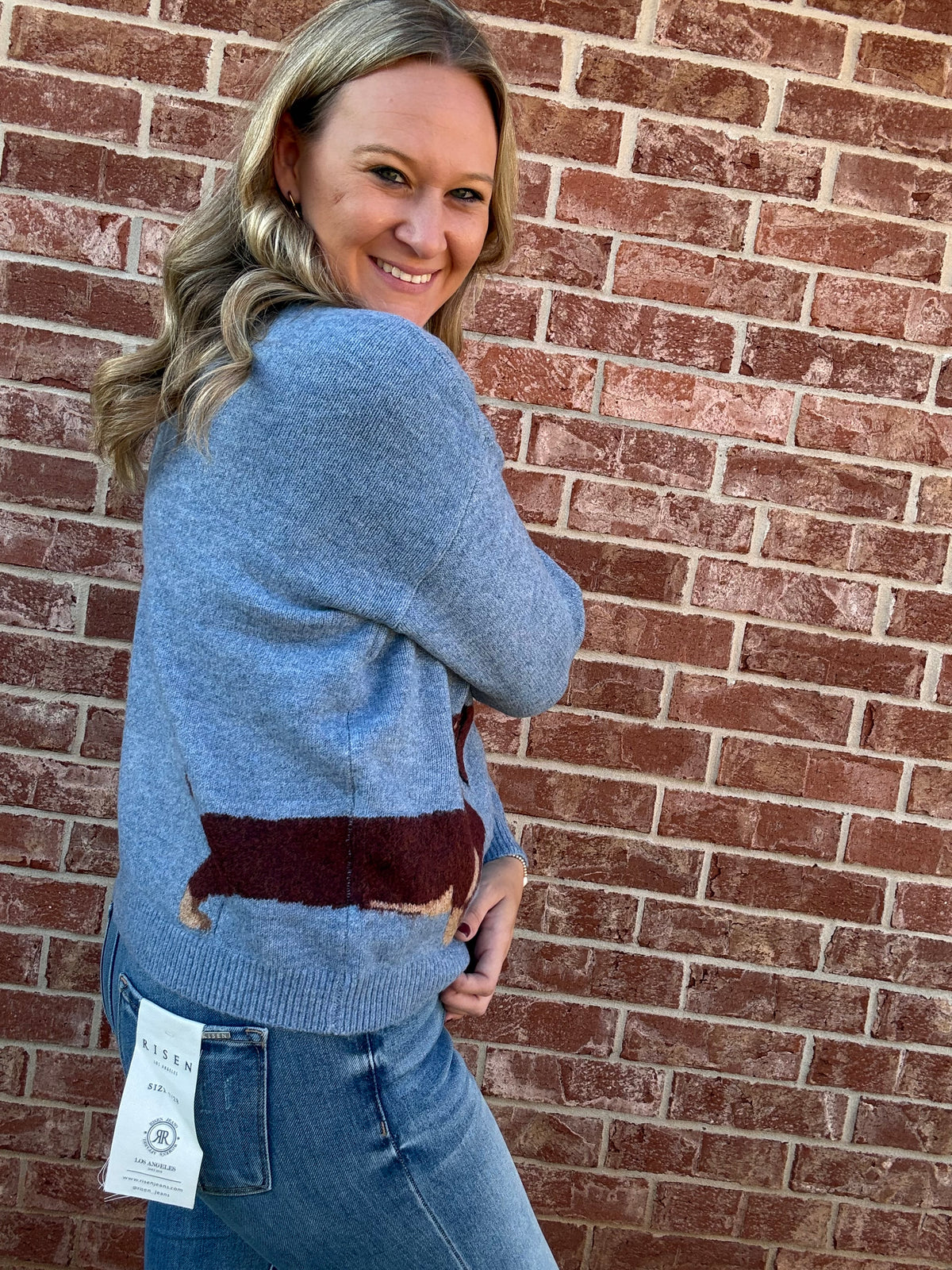 Blue Weiner Dog Cardi